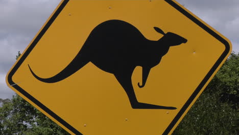 A-Kangaroo-Cross-Road-Sign-Stand-Near-Trees-1