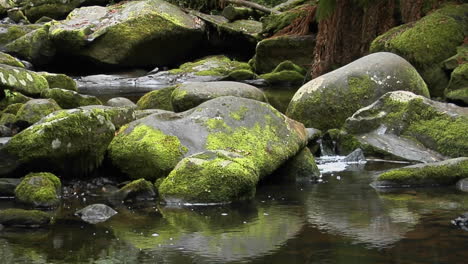 Moss-Covered-Rocks-Are-Reflected-In-A-Stream