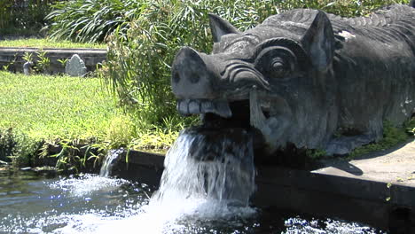 Water-Pours-From-The-Mouth-Of-A-Boar-Statue-At-A-Water-Temple-In-Bali