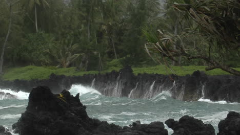 A-Large-Pacific-Storm-Batters-Hawaii-With-Large-Waves-10