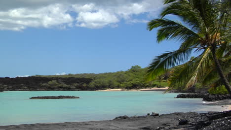 A-Pan-Across-To-A-Beautiful-Black-Sand-Beach-With-Blowing-Palms