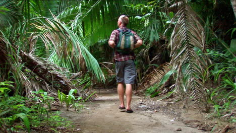 A-man-hikes-on-a-trail-into-a-tropical-forest