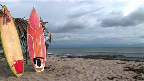Surfbretter-Werden-Gegen-Eine-Palmzweigstruktur-Gestützt