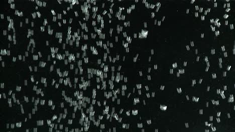Tiny-air-bubbles-rise-in-water-against-a-black-back-ground