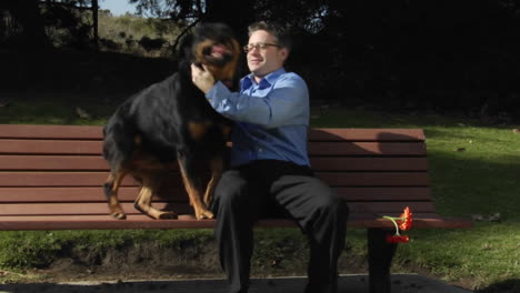 A-dog-jumps-up-onto-the-park-bench-so-a-man-can-pet-him-and-rub-him-vigorously