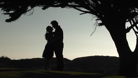 A-silhouette-of-man-and-woman-embrace-under-a-tree