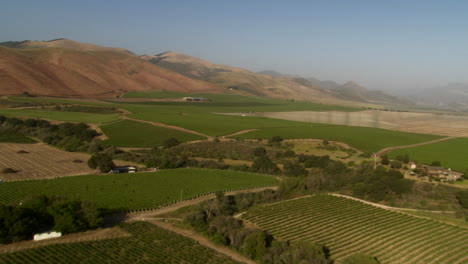 Helicopter-aerial-of-a-vineyard-in-the-Santa-Maria-Valley-California