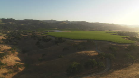 Helicopter-aerial-of-a-vineyard-in-the-Santa-Maria-Valley-California-1