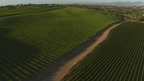 Helicopter-low-level-aerial-of-Santa-Barbara-County-vineyards-California-8