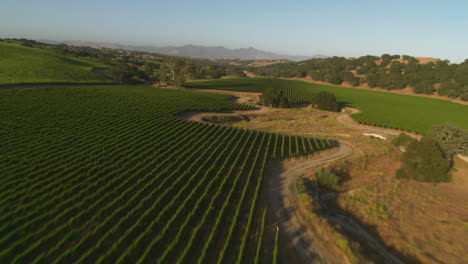 Helicopter-low-level-aerial-of-Santa-Barbara-County-vineyards-California-10
