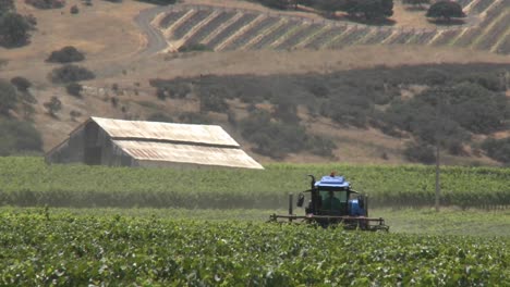 Machine-pruning-a-Monterey-County-vineyard-California-2