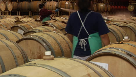 Eine-Frau-Spritzt-Weinfässer-In-Einem-Santa-Barbara-County-Weingut-Kalifornien-Ab