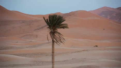 Desierto-De-Merzouga-Sahara-03