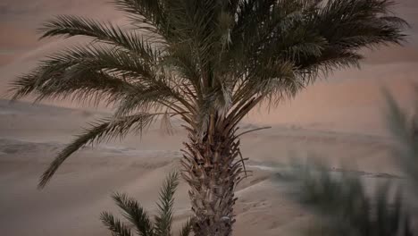 Desierto-De-Merzouga-Sahara-05