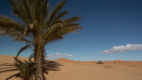 Desierto-De-Merzouga-Sahara-06