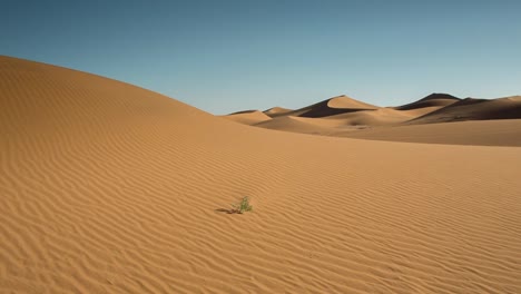 Merzouga-Sahara-Wüste