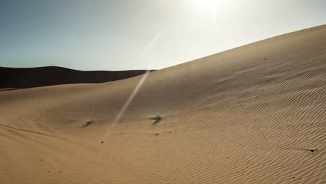 Desierto-del-Sahara-Merzouga-13