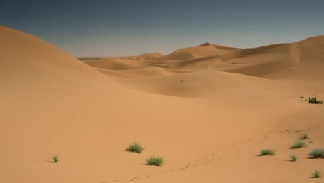 Desierto-De-Merzouga-Sahara-23