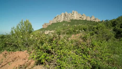 Montserrat-Raw-00