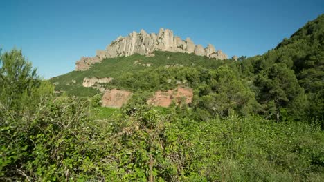 Montserrat-Roh-01