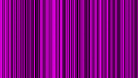 Looping-animation-of-purple-and-black-vertical-lines-oscillating
