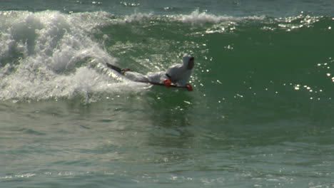 A-bodyboarding-surfer-in-a-hazmat-suit-rides-a-wave