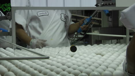 A-worker-sorts-eggs-in-a-factory