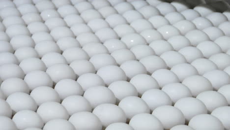 A-worker-sorts-eggs-in-a-factory-1
