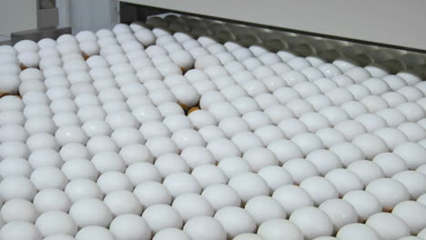Eier-Bewegen-Sich-Entlang-Eines-Förderbandes