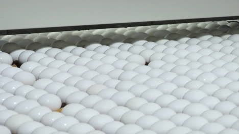 Weiße-Eier-Bewegen-Sich-Auf-Einem-Fabrik-Förderband
