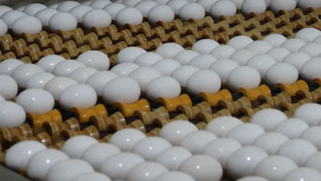 Weiße-Eier-Bewegen-Sich-Auf-Einem-Fabrikförderband-1