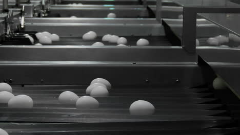 White-eggs-move-through-chutes-on-a-factory-conveyor-belt