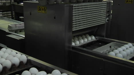 Automated-machinery-closes-carton-lids-on-eggs-in-a-factory