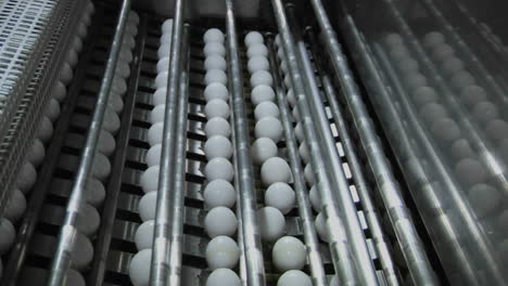 Automatisierte-Maschinen-Verarbeiten-Weiße-Eier-In-Einer-Fabrik