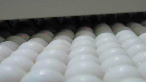 Automated-machinery-processes-white-eggs-in-a-factory-1