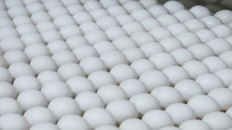 Weiße-Eier-Bewegen-Sich-Entlang-Eines-Fabrikförderbandes