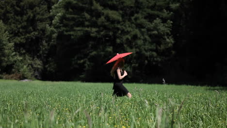 A-woman-with-an-umbrella-walks-through-a-field