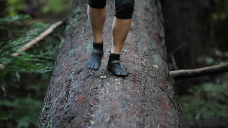 A-woman-walks-across-a-fallen-log-in-a-forest
