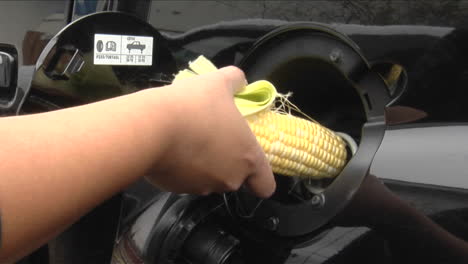 A-person-opens-a-car-gas-tank-and-sticks-an-ear-of-corn-in