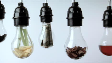 Light-bulbs-containing-plant-matter-folded-money-and-red-liquid-hang-in-a-row-against-a-white-background