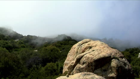 Nebel-Rollt-über-Einen-Dicht-Bewaldeten-Hang-In-Den-Kalifornischen-Bergen