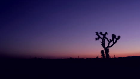 The-sky-darkens-in-the-desert-at-golden-hour