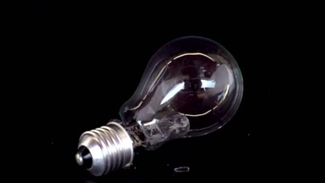 Slow-Motion-Bulb-00