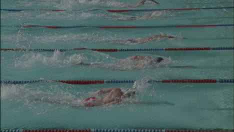 Swimmers-race-across-a-pool-1