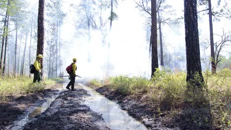 Fire-crew-monitoring-a-prescribed-burn-in-Moody-Forest-Natural-Area-near-Baxley-Georgia