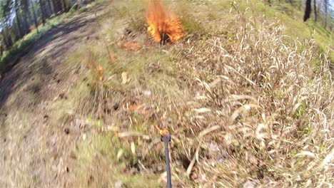 Point-of-view-of-a-prescribed-burn-with-a-drip-torch-near-Baxley-Georgia
