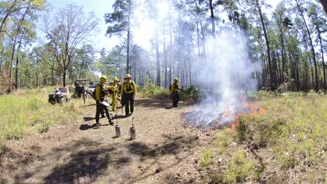 Fire-crew-starting-a-test-fire-for-a-prescribed-burn-near-Baxley-Georgia
