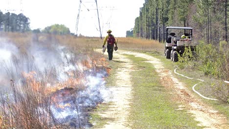 A-fire-crew-member-lighting-a-prescribed-fire-with-a-drip-torchvnear-Baxley-Georgia
