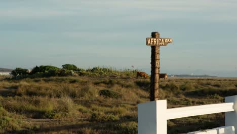 Africa-Sign-00