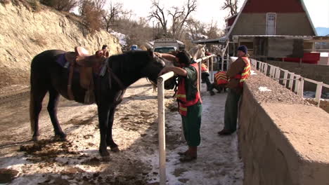 Das-Wildpferde-Insassenprogramm-In-Colorado-Domestiziert-Pferde